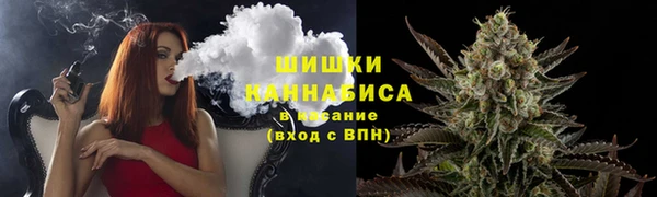 apvp Осинники