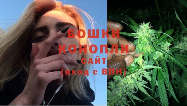 apvp Осинники