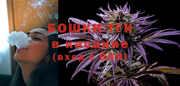 шишки Усинск