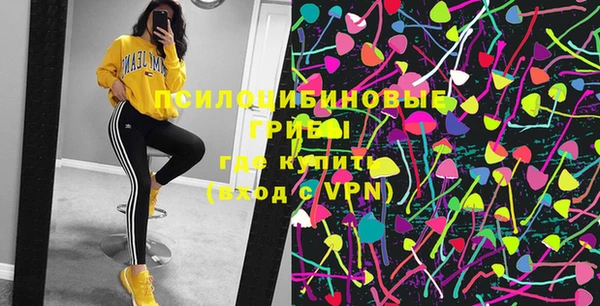 винт Осташков