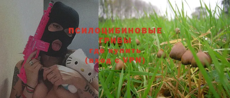 даркнет сайт  Аркадак  гидра ТОР  Галлюциногенные грибы Cubensis 