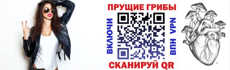 Галлюциногенные грибы прущие грибы  Аркадак 